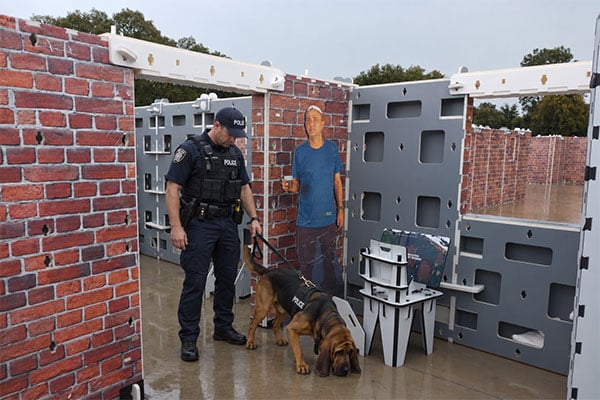 K9 Building, Vehicle and Exterior Searches